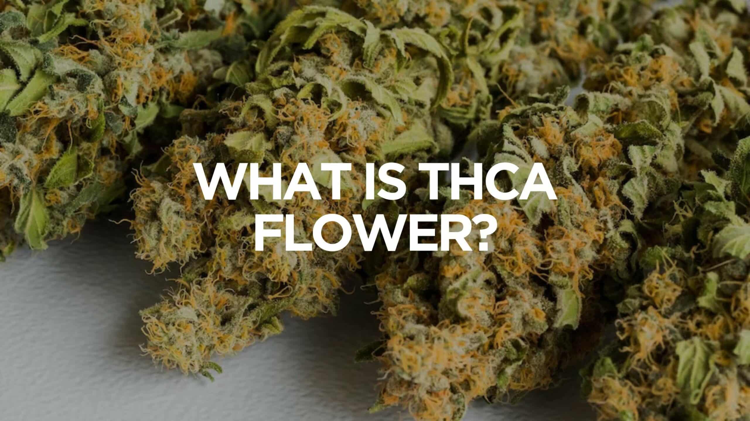 Crafting Perfection: Unraveling Premium THCA Flower Strains